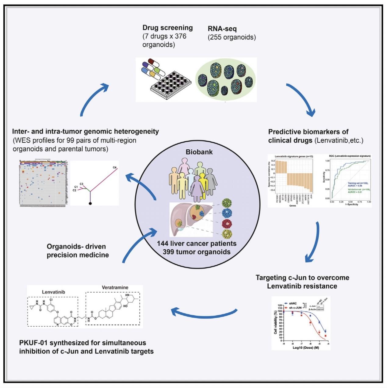 平博·(pinnacle)官方网站