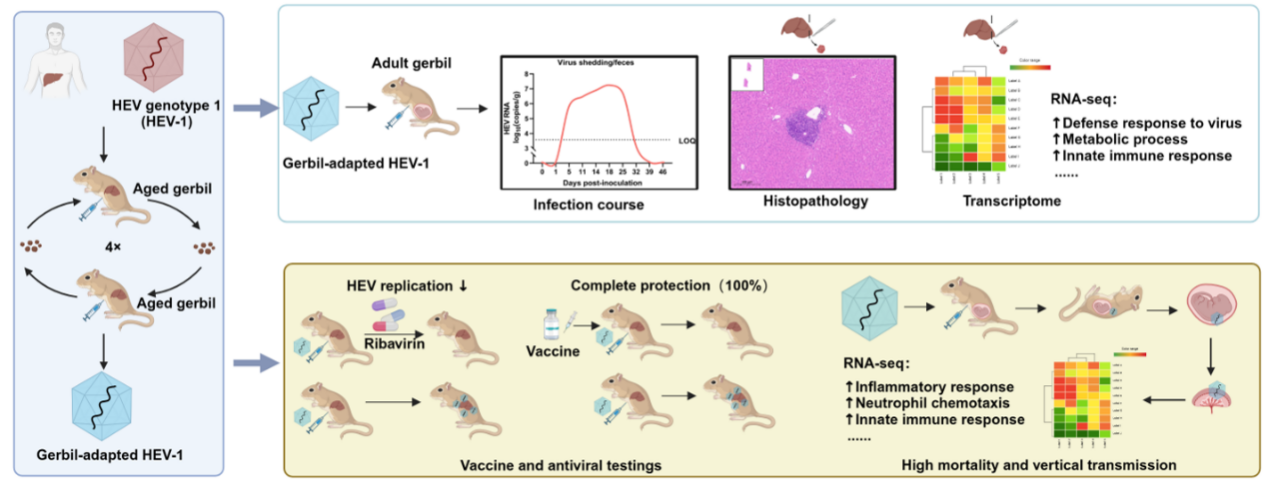 平博·(pinnacle)官方网站