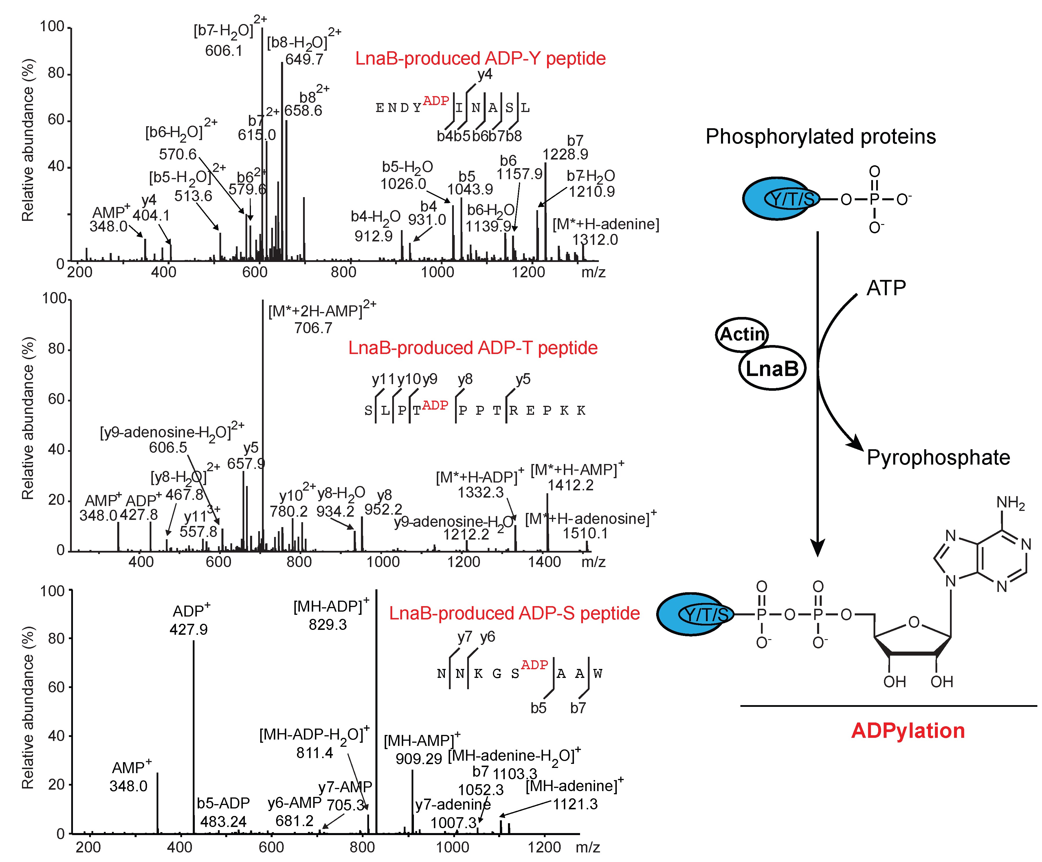 平博·(pinnacle)官方网站