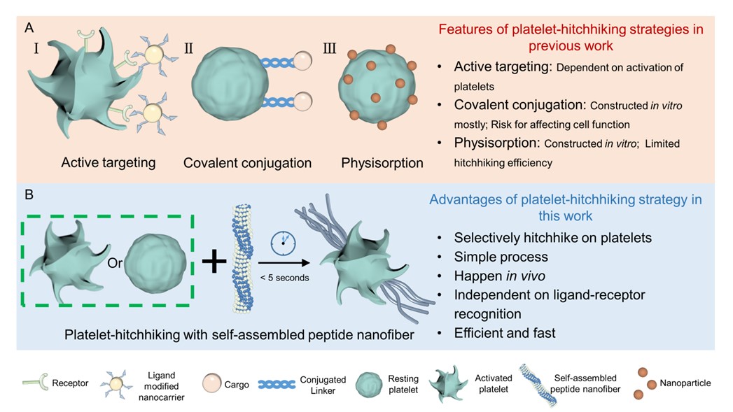 平博·(pinnacle)官方网站