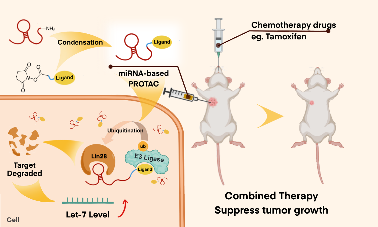 平博·(pinnacle)官方网站