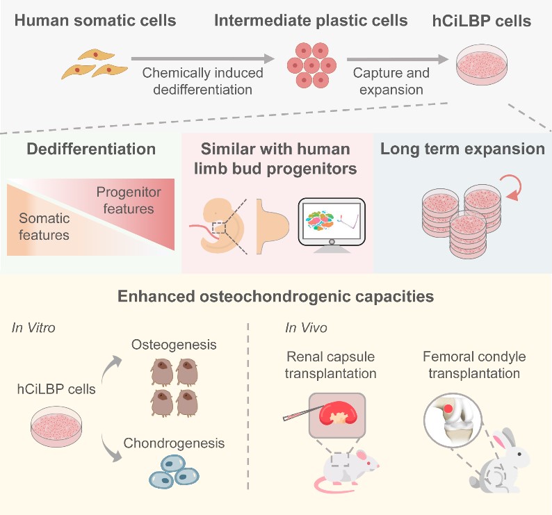 平博·(pinnacle)官方网站