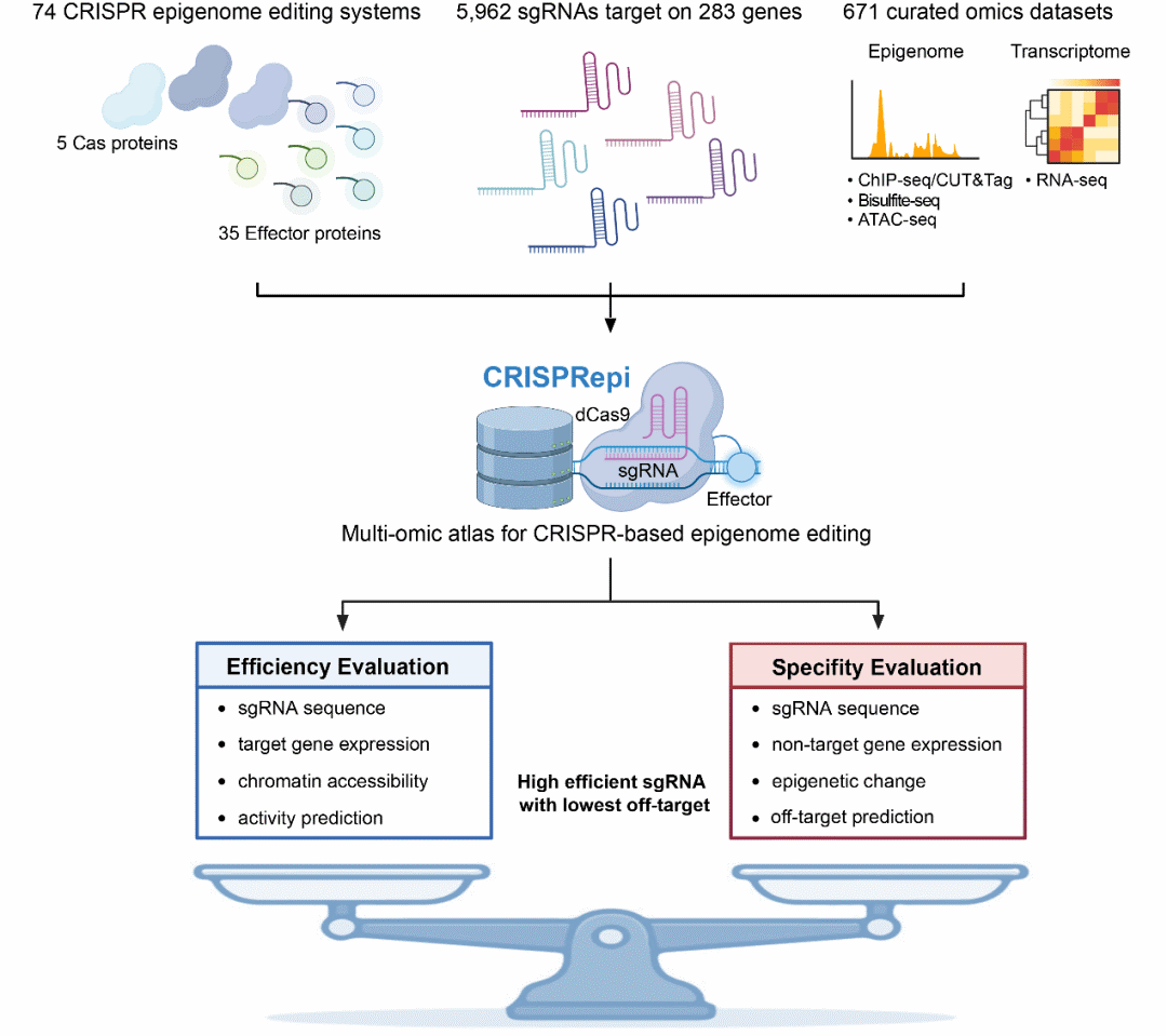 平博·(pinnacle)官方网站