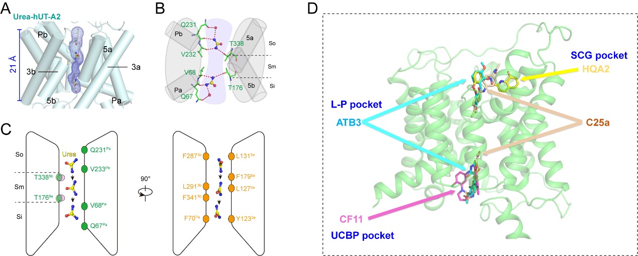 平博·(pinnacle)官方网站