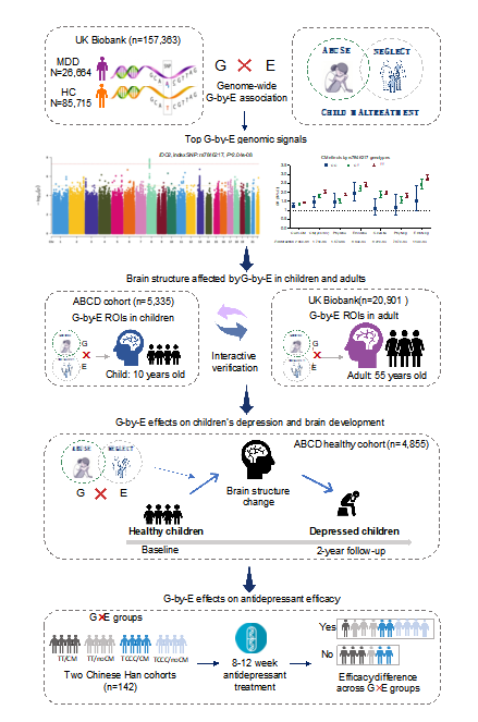 平博·(pinnacle)官方网站
