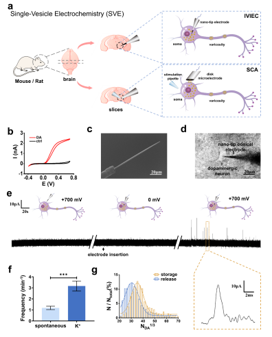 平博·(pinnacle)官方网站
