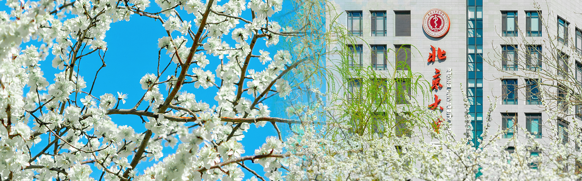 平博·(pinnacle)官方网站