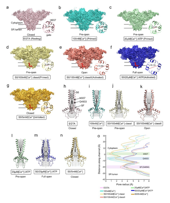 平博·(pinnacle)官方网站
