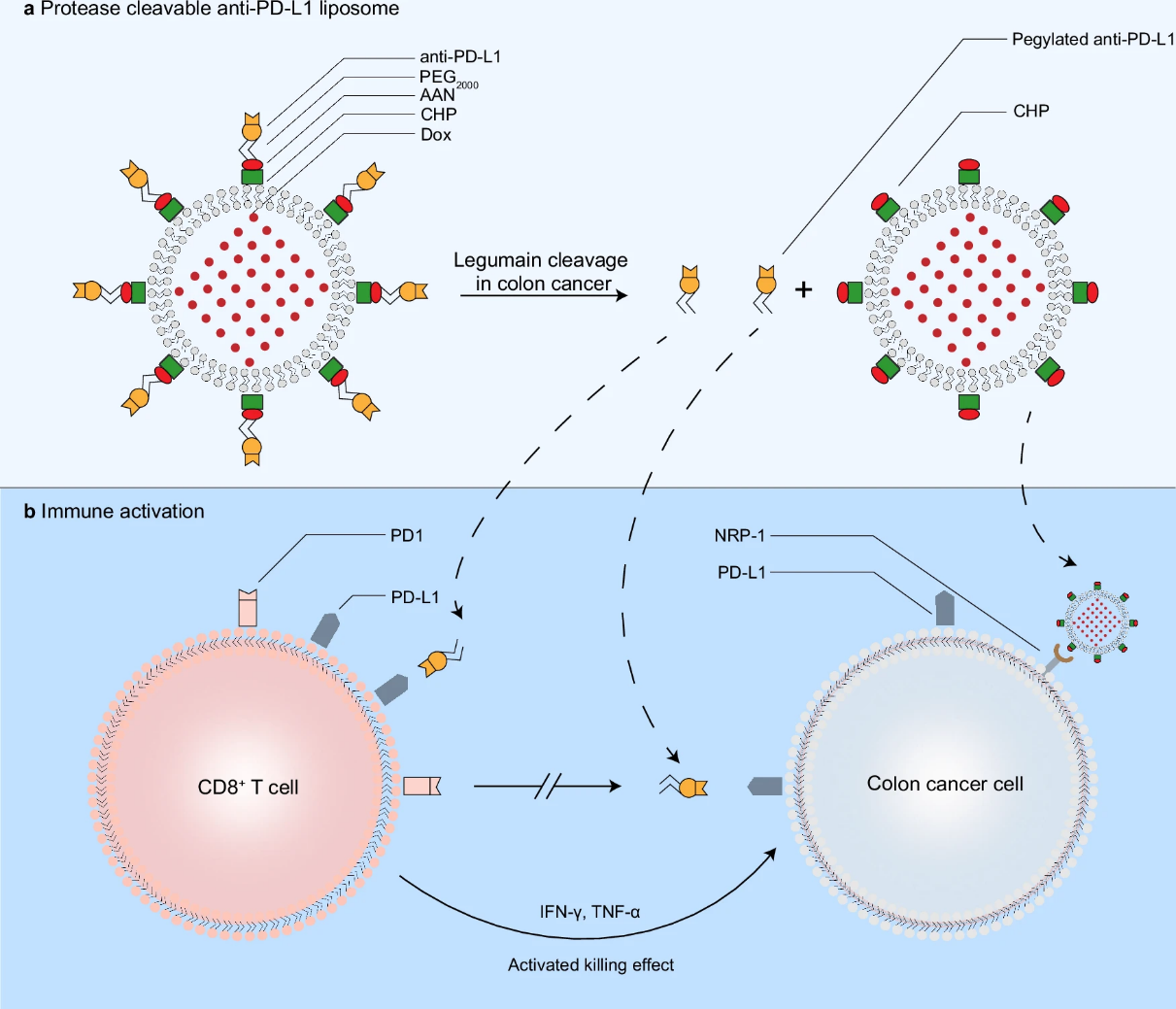 平博·(pinnacle)官方网站
