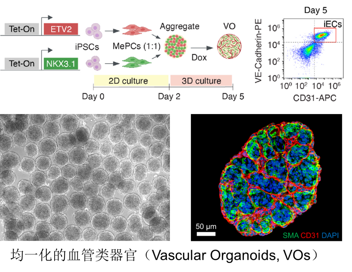 平博·(pinnacle)官方网站