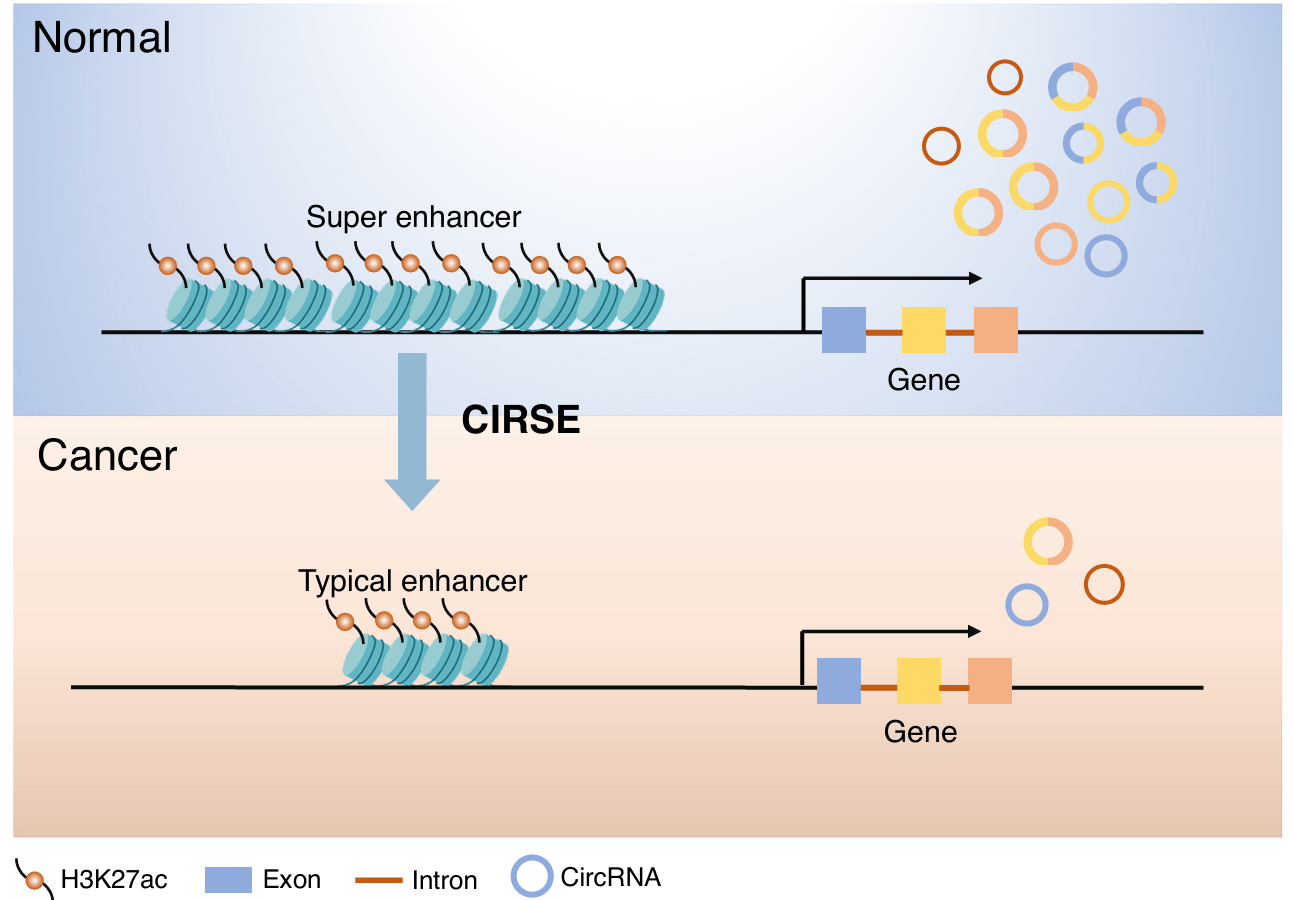 平博·(pinnacle)官方网站