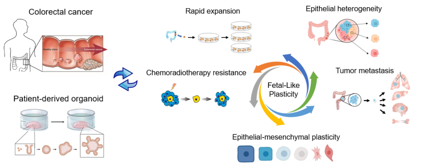 平博·(pinnacle)官方网站