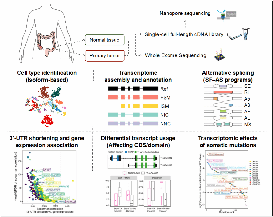 平博·(pinnacle)官方网站