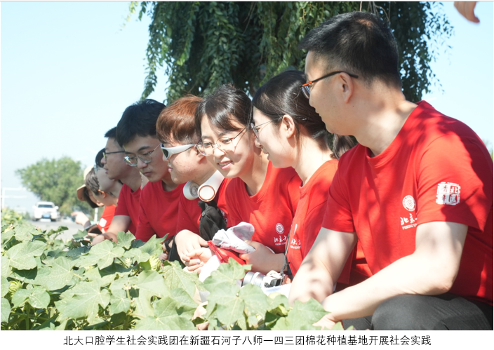 平博·(pinnacle)官方网站