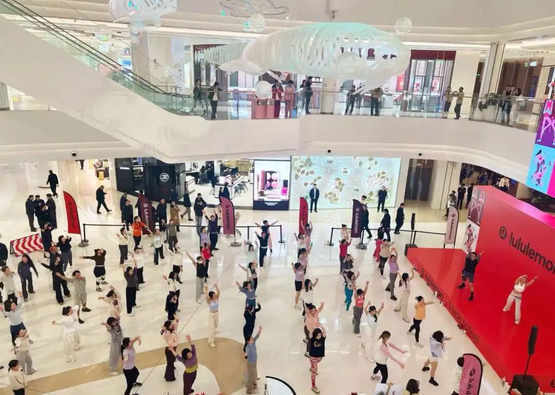 Z6���������й������ٷ���վ