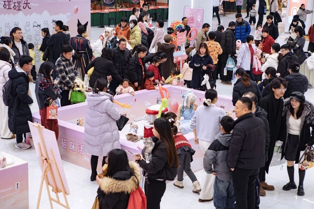 698aaa86e365e Z6¡¤×ðÁú¡¸ÖйúÇø¡¹¹Ù·½ÍøÕ¾