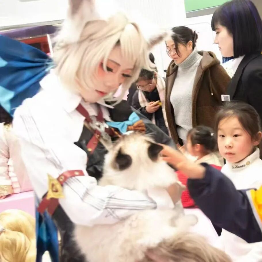 698aaa9083e68 Z6¡¤×ðÁú¡¸ÖйúÇø¡¹¹Ù·½ÍøÕ¾