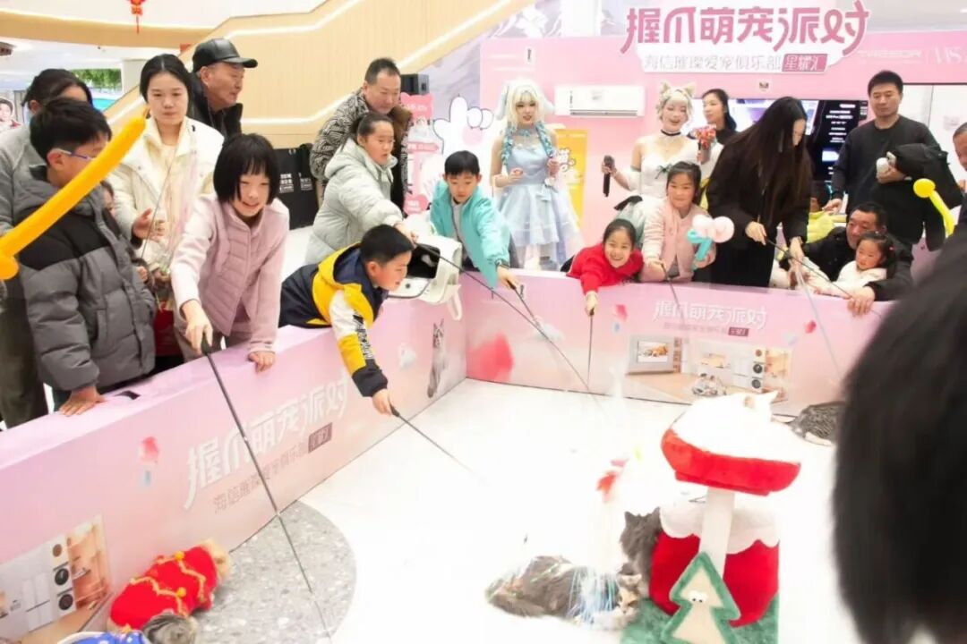 698aaa9f47272 Z6¡¤×ðÁú¡¸ÖйúÇø¡¹¹Ù·½ÍøÕ¾