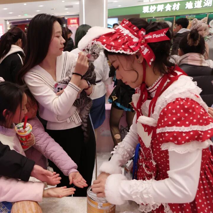 698aaaa654afc Z6¡¤×ðÁú¡¸ÖйúÇø¡¹¹Ù·½ÍøÕ¾