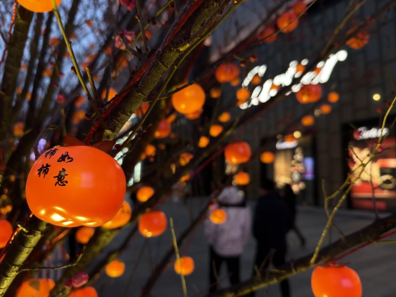 698aaba07ce98 Z6¡¤×ðÁú¡¸ÖйúÇø¡¹¹Ù·½ÍøÕ¾