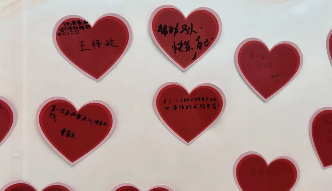 Z6���������й������ٷ���վ