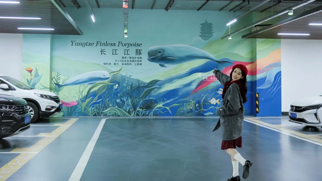 Z6���������й������ٷ���վ