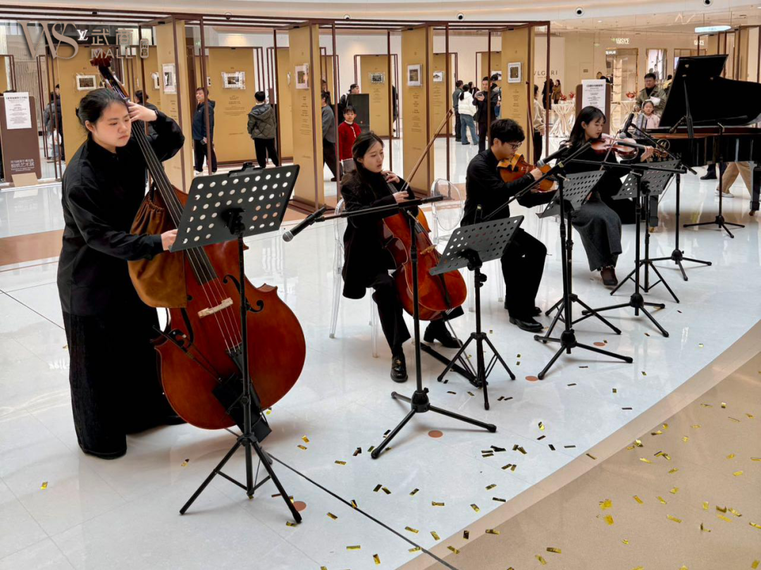 Z6���������й������ٷ���վ