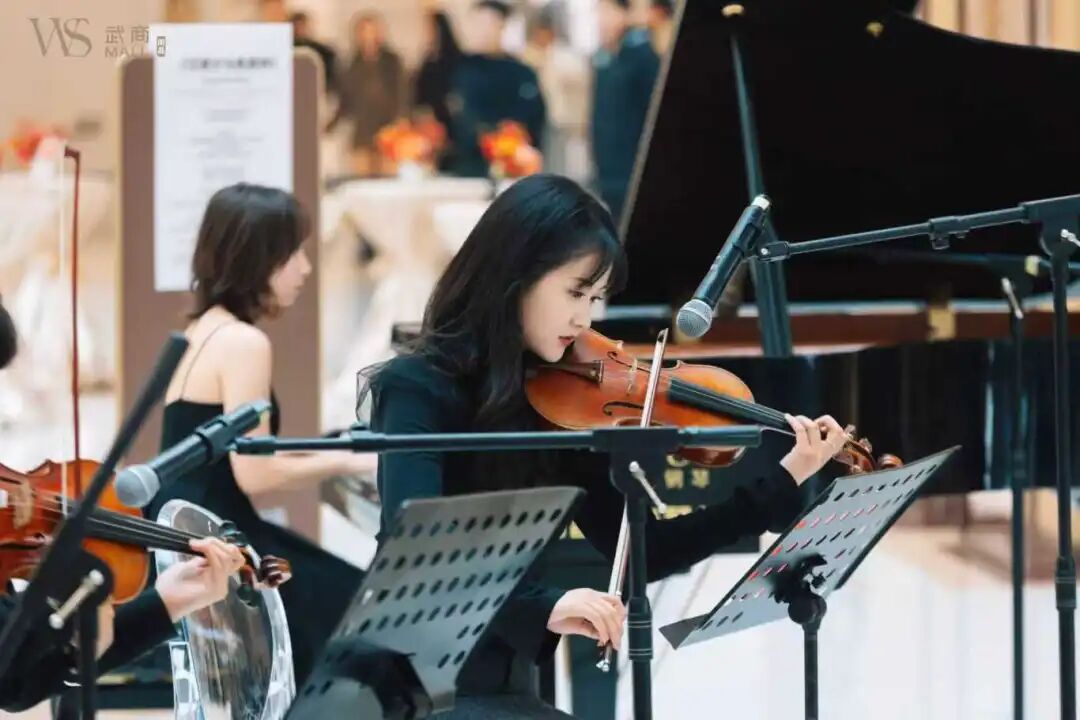 Z6���������й������ٷ���վ