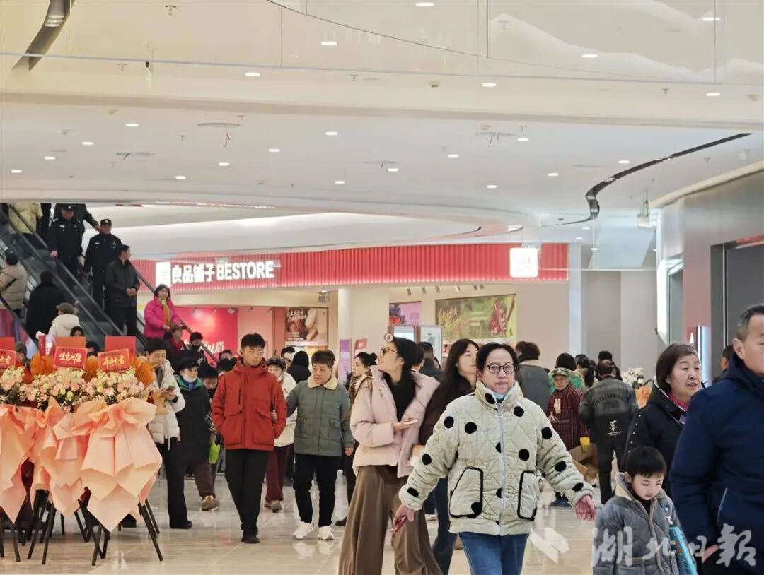 Z6���������й������ٷ���վ