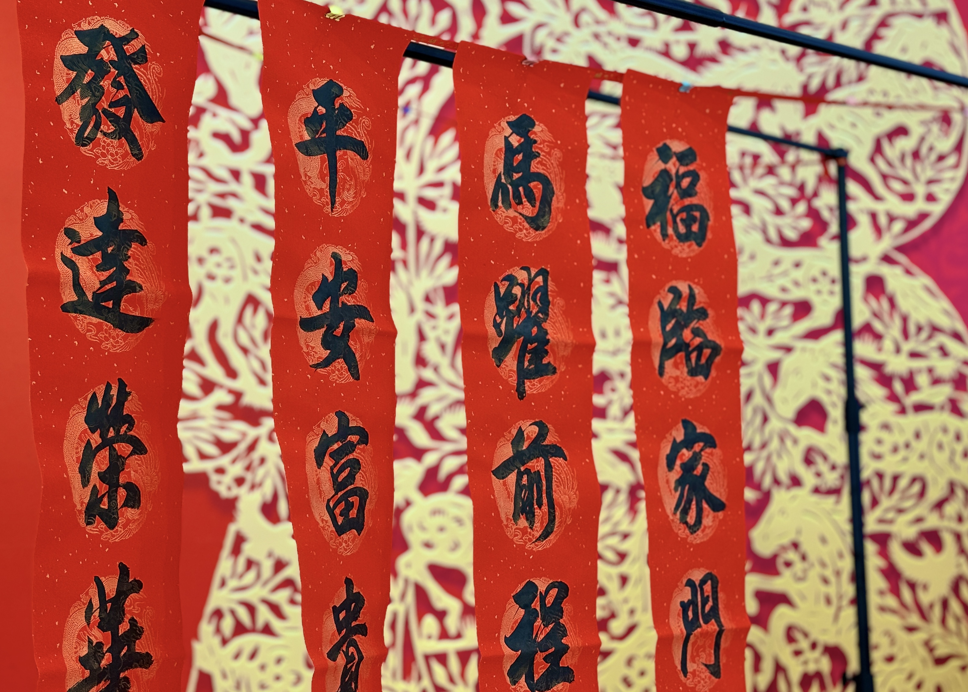 Z6���������й������ٷ���վ