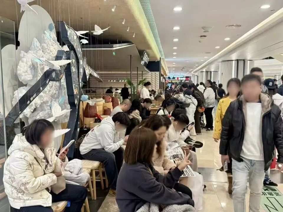 Z6���������й������ٷ���վ