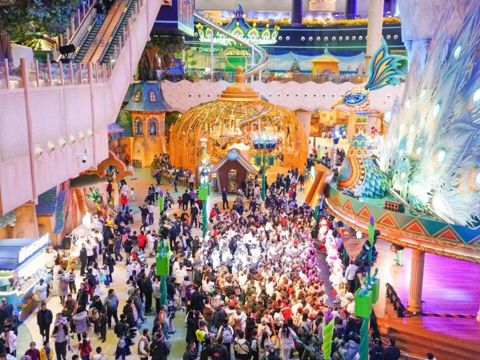 Z6���������й������ٷ���վ