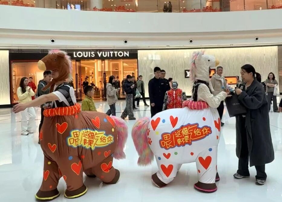 Z6���������й������ٷ���վ