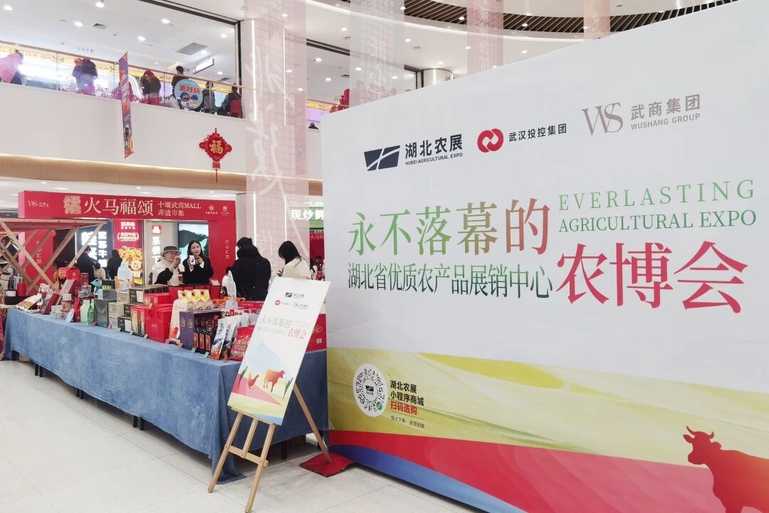 Z6���������й������ٷ���վ