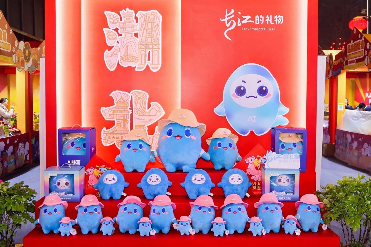 Z6���������й������ٷ���վ