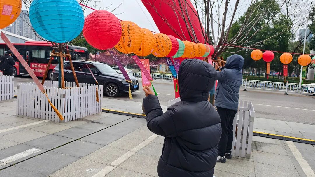 Z6���������й������ٷ���վ