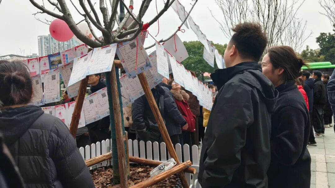 Z6���������й������ٷ���վ