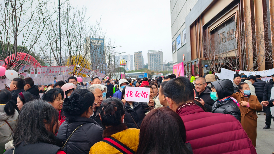 Z6���������й������ٷ���վ