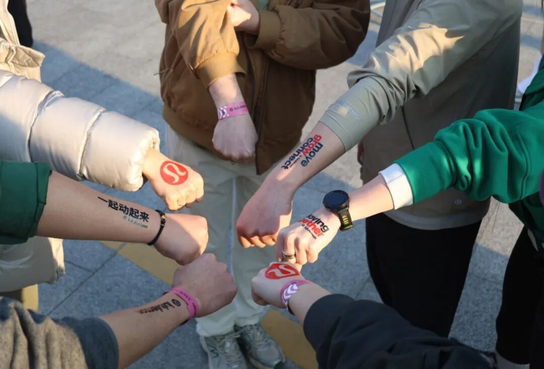 Z6���������й������ٷ���վ