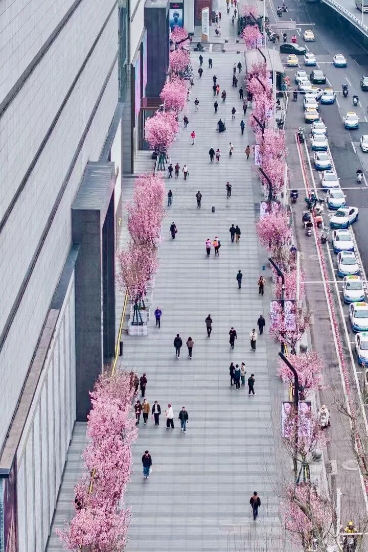 Z6���������й������ٷ���վ