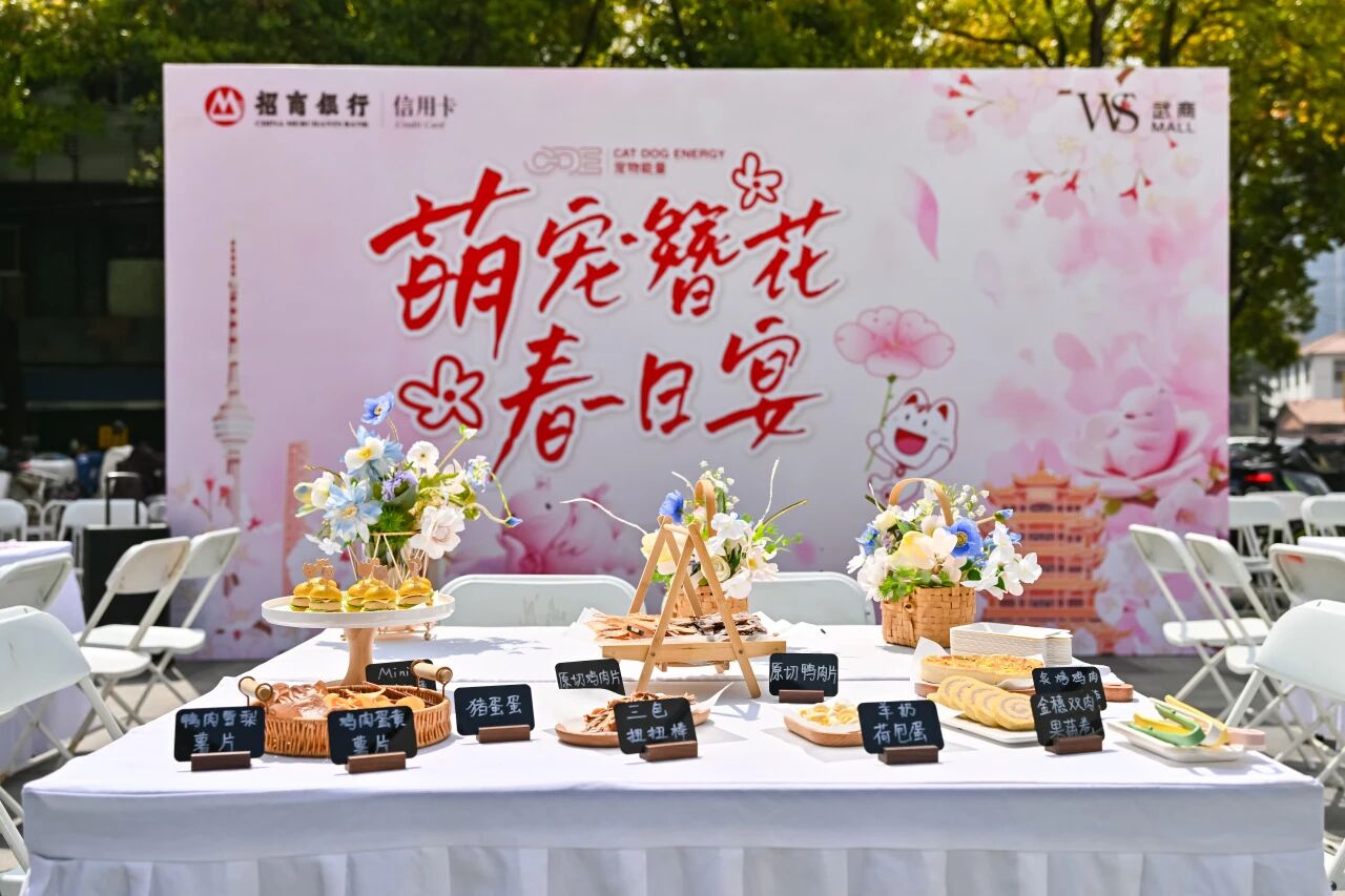 Z6���������й������ٷ���վ