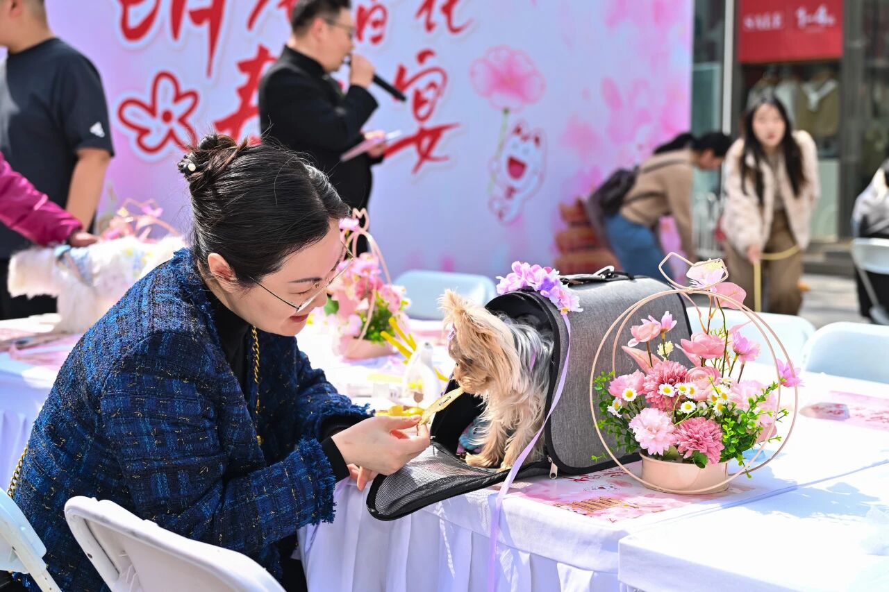 Z6���������й������ٷ���վ