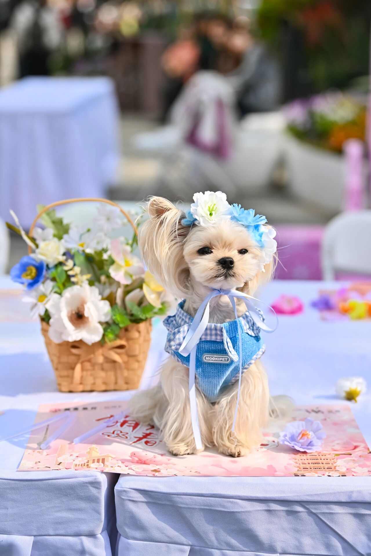 Z6���������й������ٷ���վ