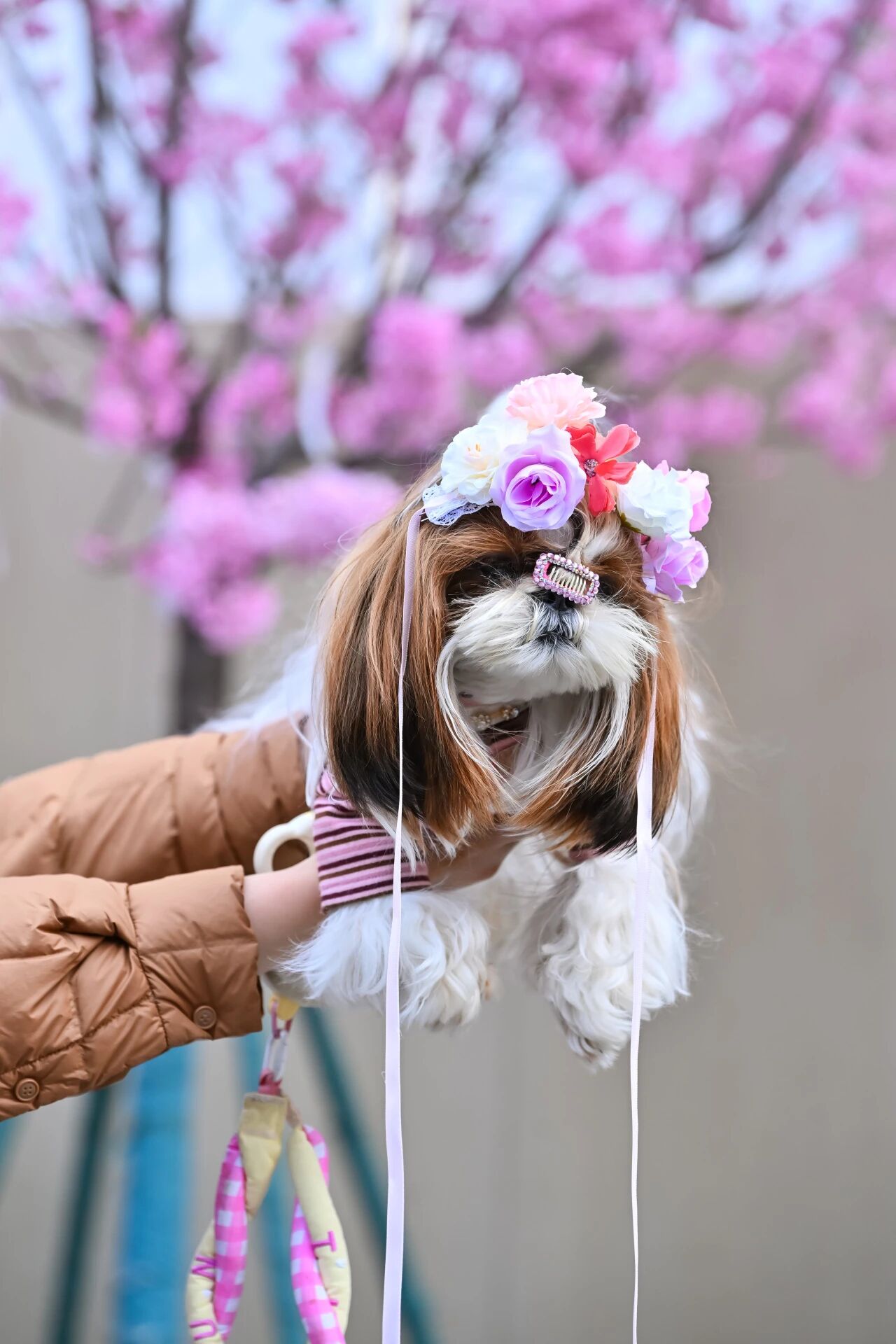 Z6���������й������ٷ���վ