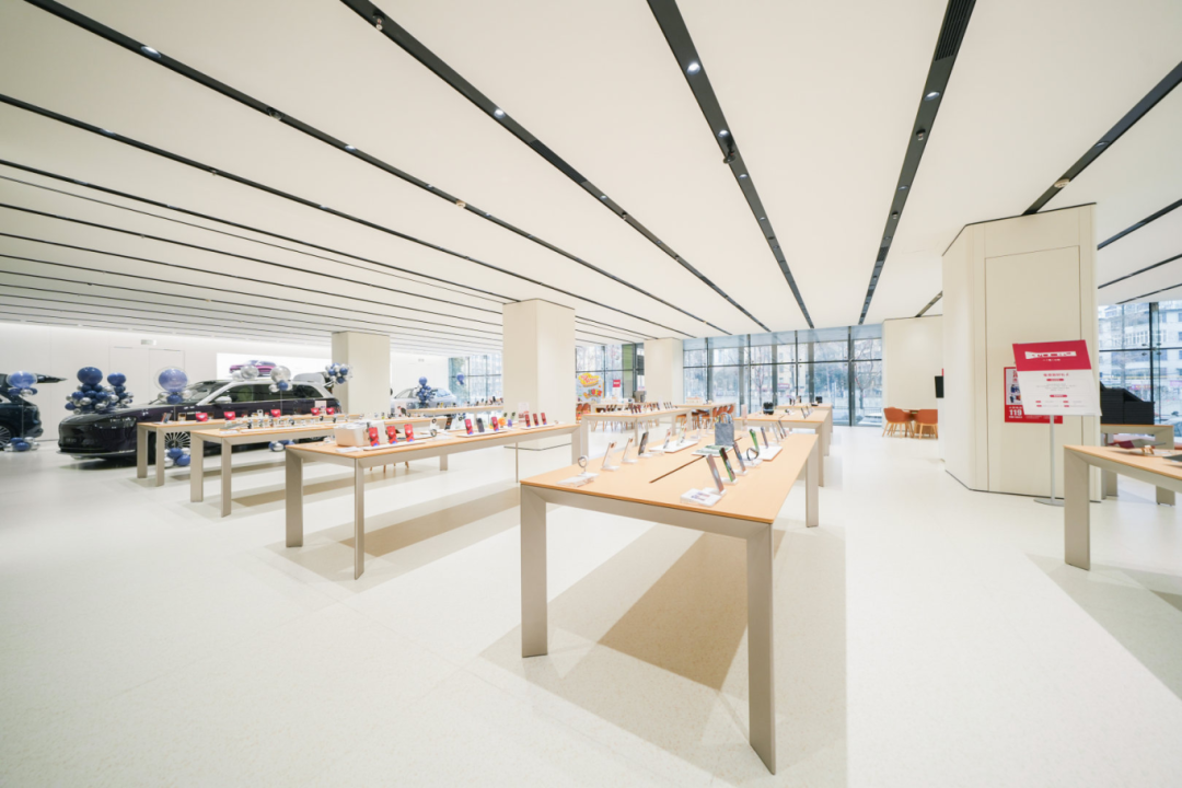 Z6���������й������ٷ���վ